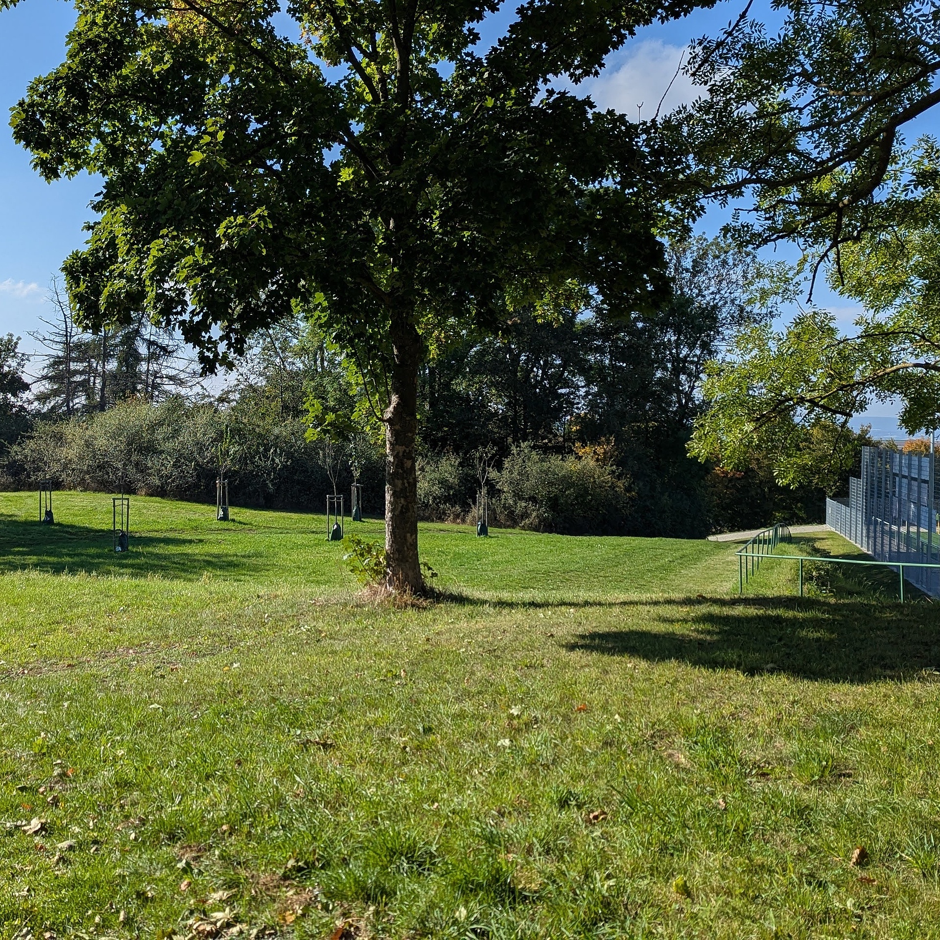 Freifläche im Bereich Sportpark